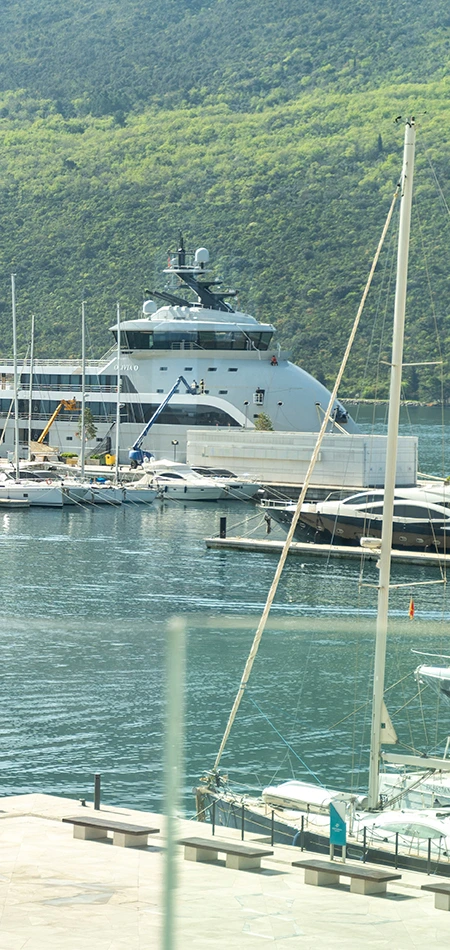 Portonovi Montenegro: Trends that Attract Both Luxury Seekers and Investors